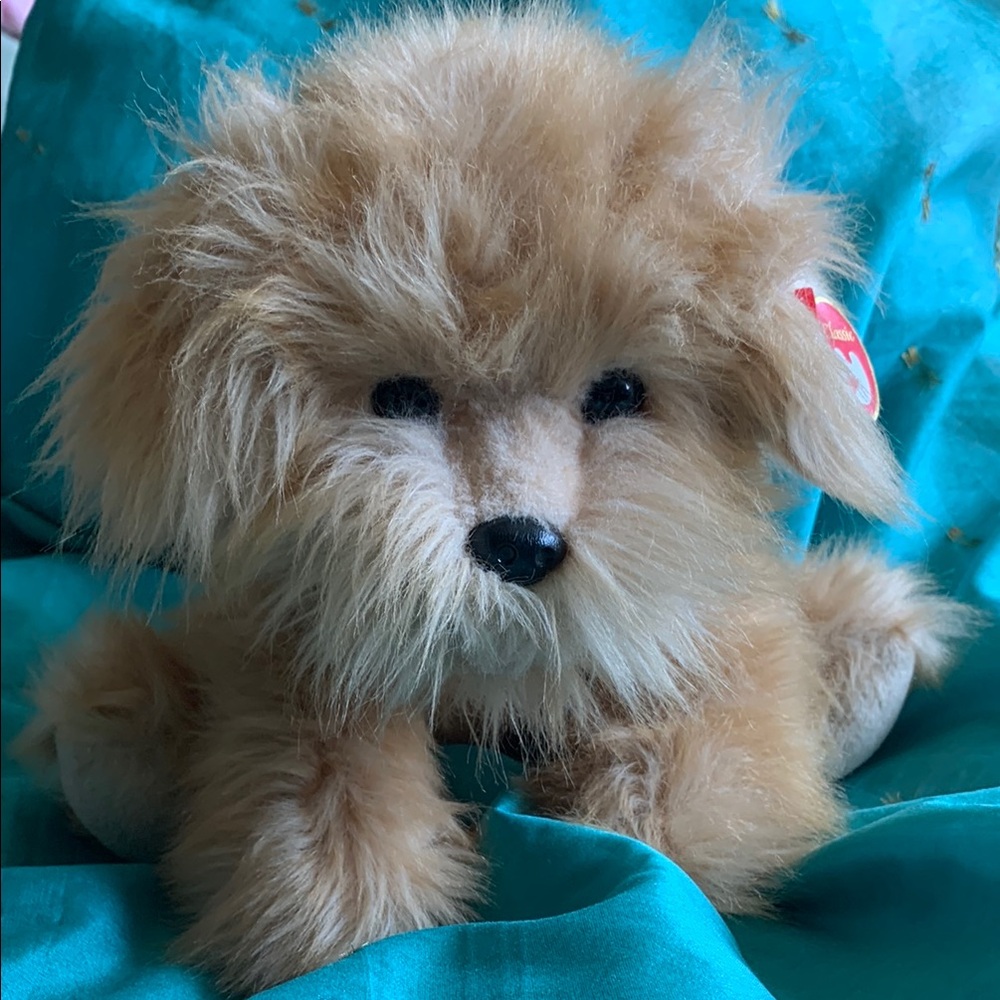 TY Colonel fluffy stuffed puppy dog plush toy collector